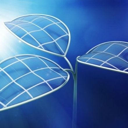 Scientists Have Found A Way To Turn Sunlight Into Liquid Fuel