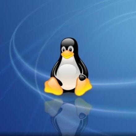 Linus on Linux's 25th birthday