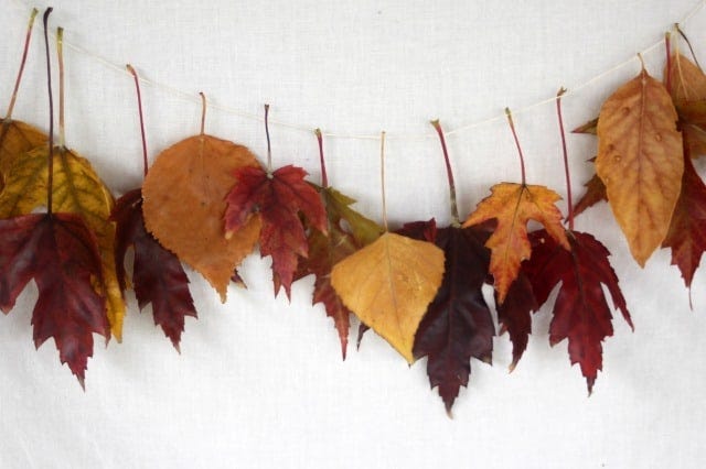 Autumn is a great time of year! Celebrate the change of the season with some fall homemade decorations and easy autumn decorations. For indoor and outdoor.