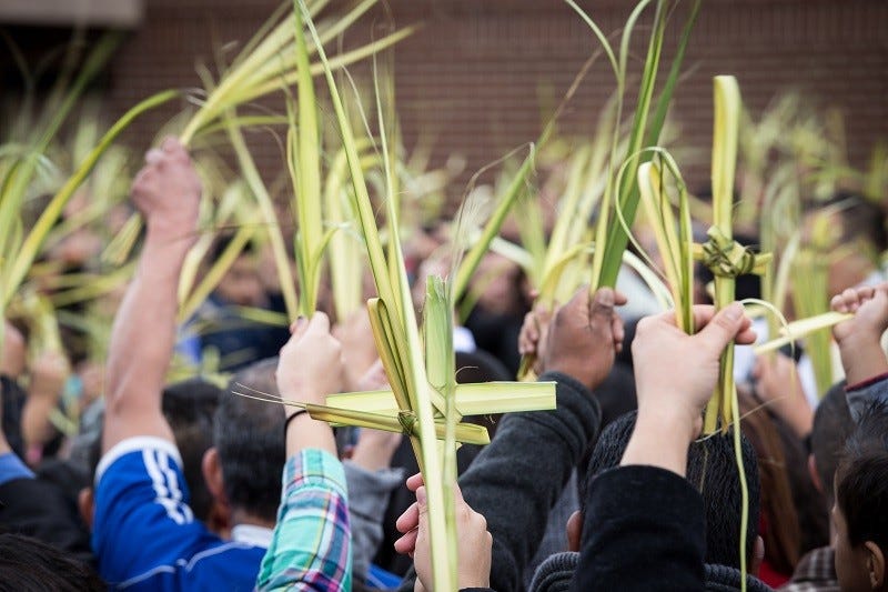 Irish Catholic Easter traditions included blessed palm crosses for their homes and livestock