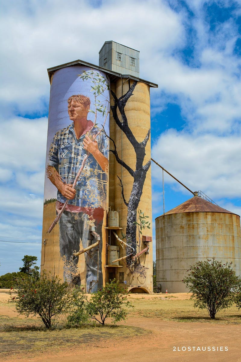 The Adventure Series : The Silo Art Trail with 2 Lost Aussies - VanLife ...