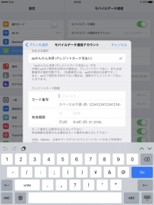 AppleSIM00023