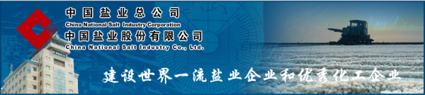 china-national-salt