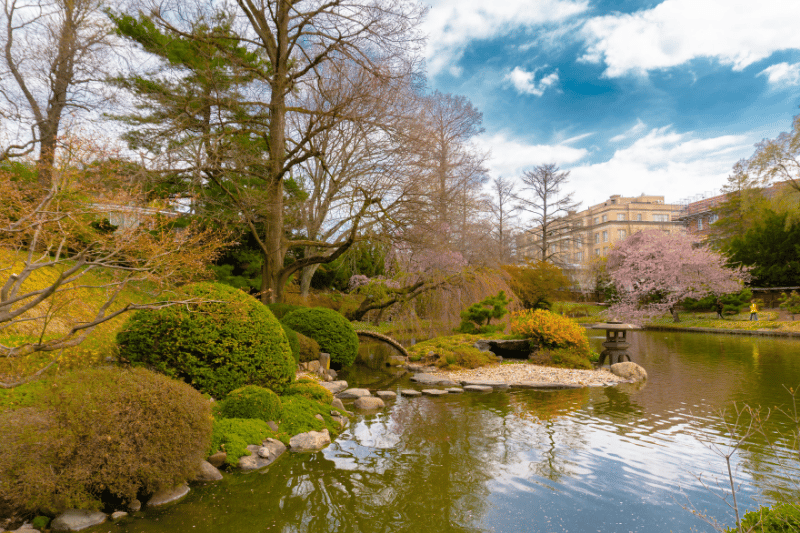 fall foliage at the Brooklyn Botanic Garden