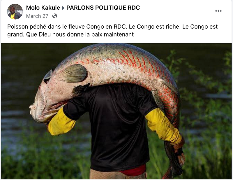 FAUX : Ce poisson n’a pas été pêché dans le fleuve Congo