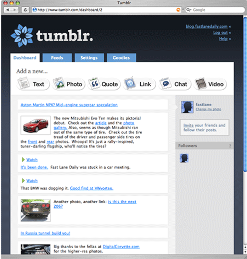 First Version of tumblr. Website