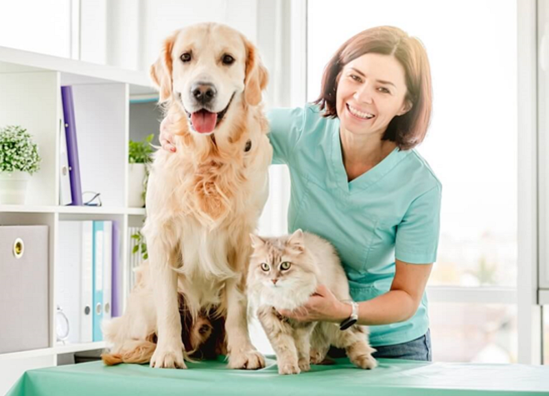 pet clinic Louisville KY