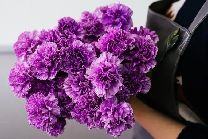 Flower Meanings Guide: Symbolism of Popular Flowers Explained
