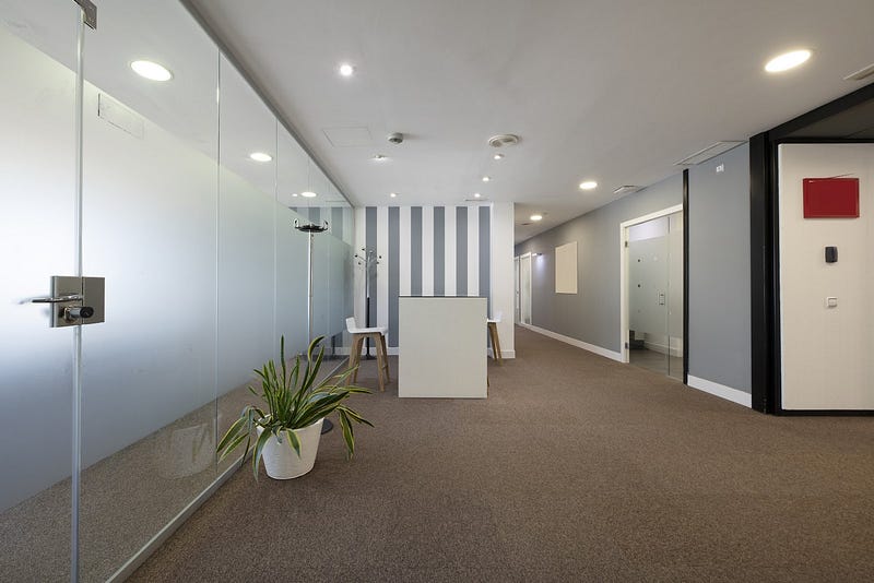 Affordable carpet cleaning services