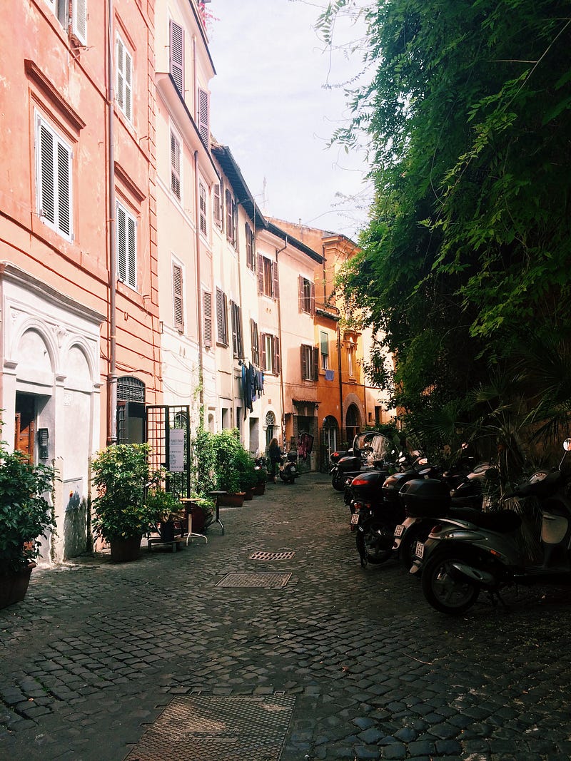 Processed with VSCOcam with c1 preset