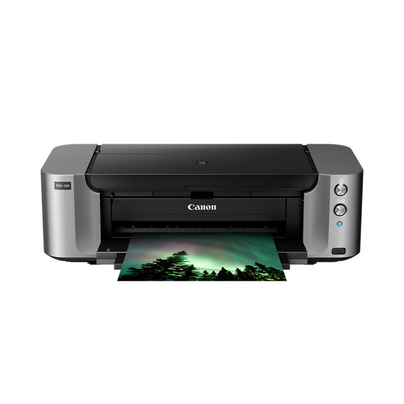Canon photo printer with printed photo image