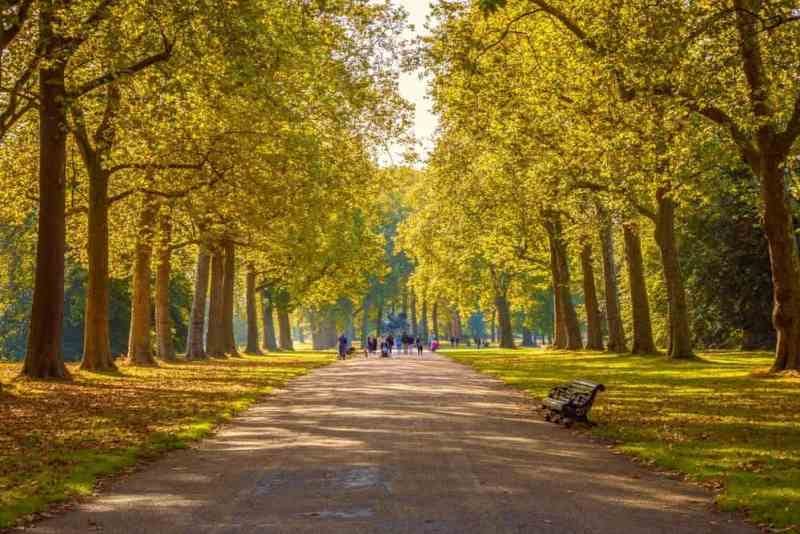 Best Time to Visit Hyde Park