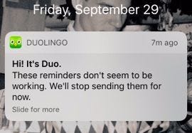 duolingo reminder notifications