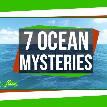 7 Things We Don't Know About the Ocean