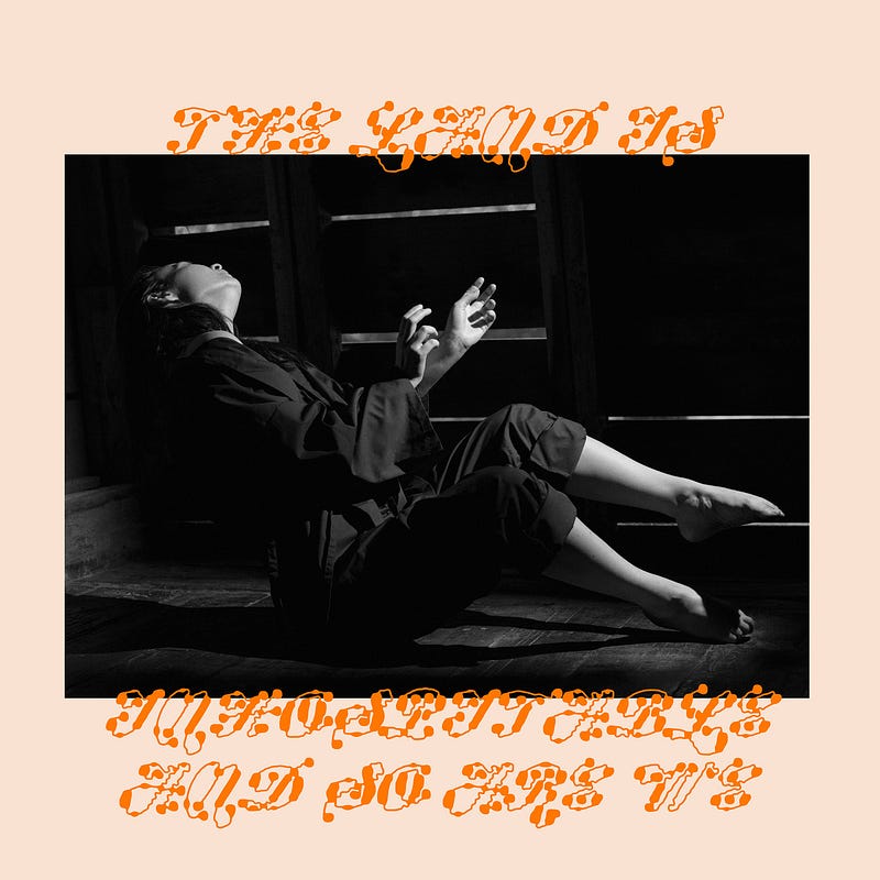 Album art for The Land Is Inhospitable and So Are We by Mitski