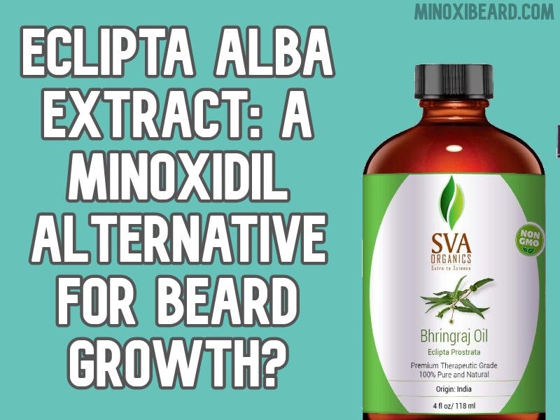 Eclipta Alba Extract: A Minoxidil Alternative For Beard Growth?