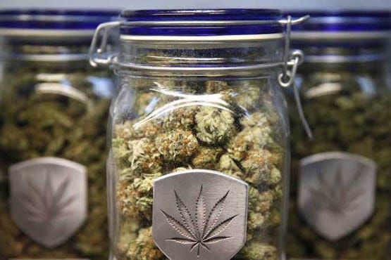 weed