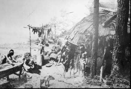 indians