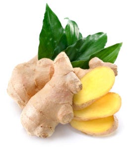 Ginger