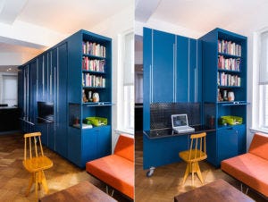 Micro Apartments in NYC 9