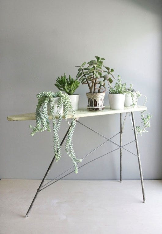 Let's Talk About Plants