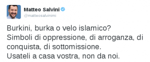 Salvini-significato-velo