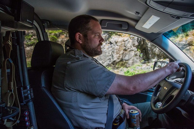 Park service ranger Kevin Davis drinks a sweet tea while driving along Highway 20 in North Cascades National Park on May 14, 2016. Having previously broken up marijuana grows with armed raids in Yosemite, Davis now finds the cheaper living costs in Washington to be more appealing. He rides with a 12-gauge shotgun and M4 assault rifle at his side, as well as a .40-caliber pistol on his hip.