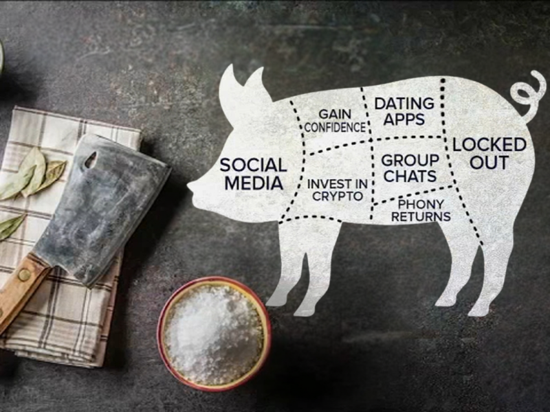 The 2026 Crypto Scam Warning List: Pig Butchering, Fake Platforms, and How to Avoid Them