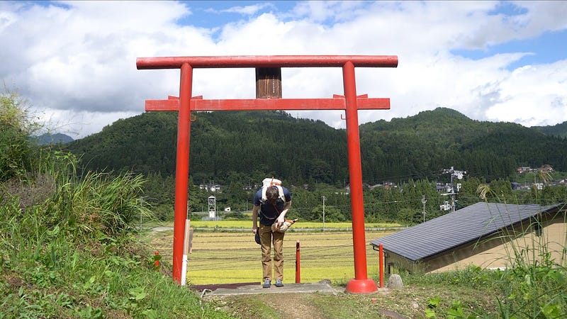 Tim Bunting AKA Kiwi Yamabushi as he bows at the bright red Torii shrine gates to Kumano Jinja on Tengu-yama in Nishikawa Town. Freshly harvested rice fields in the background.
