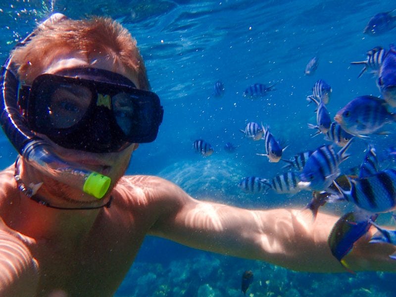 Snorkelling Tours