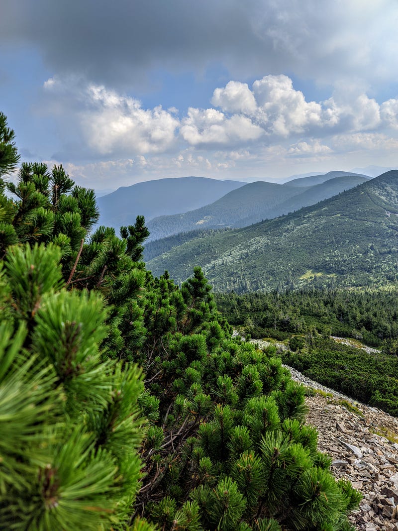 A picture of tree covered mountains in the background. There are lots of dark clouds in the sky. In the forfront the terrain is very rocky.