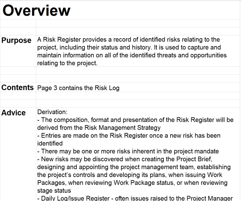Example risk management plan overview