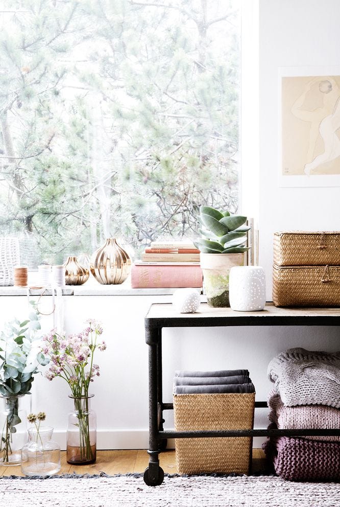 Let's Talk About Plants