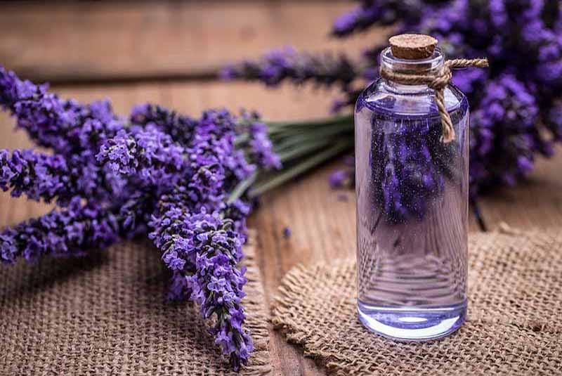lavender essential oil for eczema symptoms