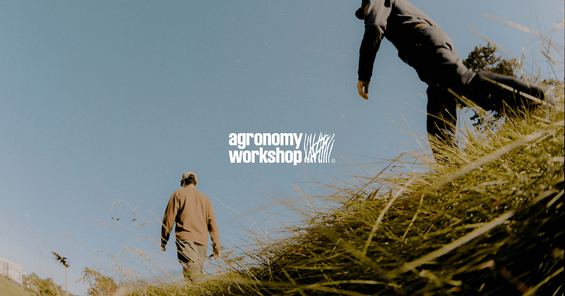 Agronomy Workshop website hero showing two people walking through a grassy field under clear sky with natural, documentary-style photography