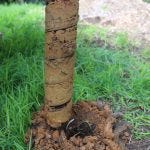 Ensuring Grounded Growth: The Importance of Soil Testing in Mornington Peninsula and Melbourne by The 4 Spheres
