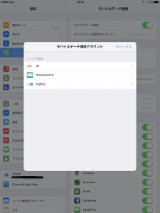 AppleSIM00019