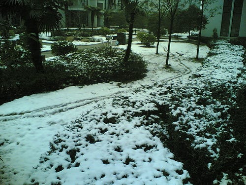 20060218(006)