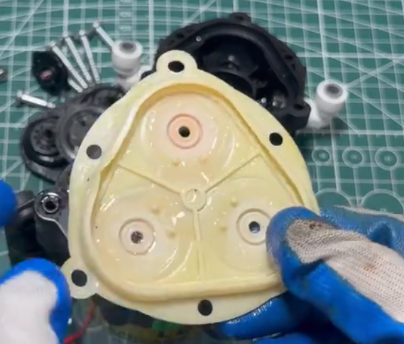 Diaphragm
