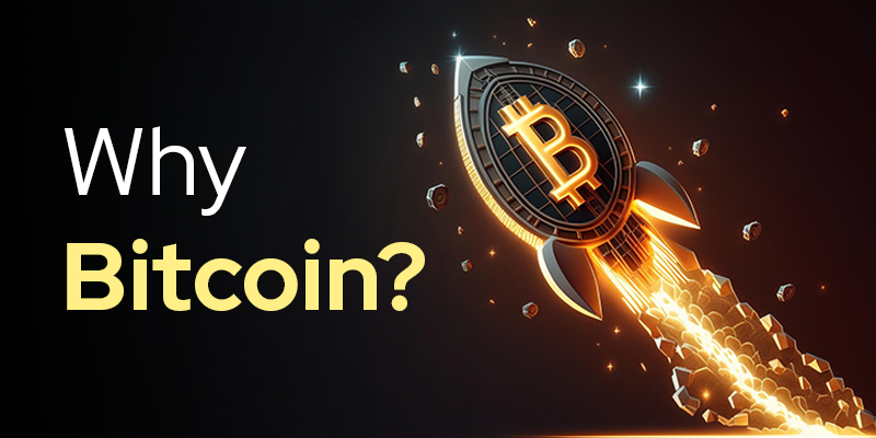 Why Bitcoin?