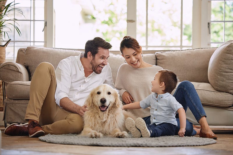 Pet-friendly home cleaning