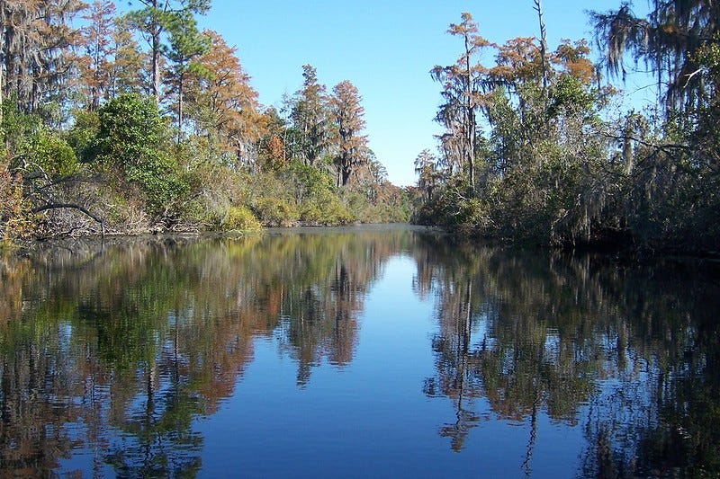 Canal Run Okefenokee NWR 