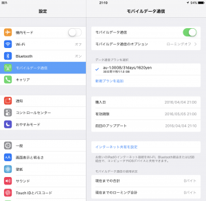 AppleSIM00031