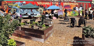 Afrika Town community garden in West Oakland.