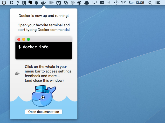 run docker container for mysql mac terminal