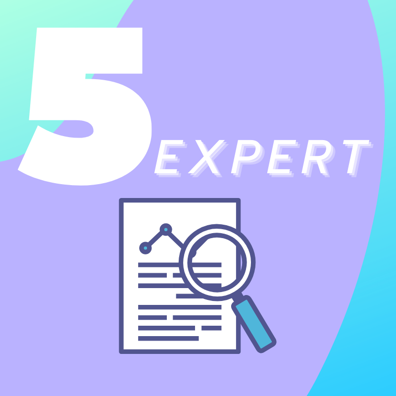 Number 5. Icon labelled “Expert”