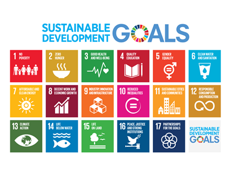 2016_sdg_institute-of-international-relations-irice