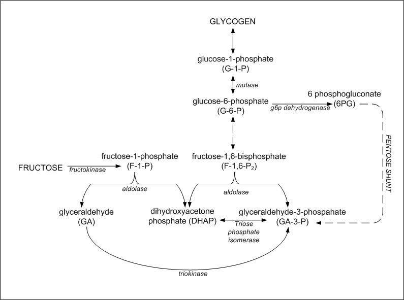 6 structure fructose diphosphate 1 KetoSchool Science â Fat Metabolism Behind The