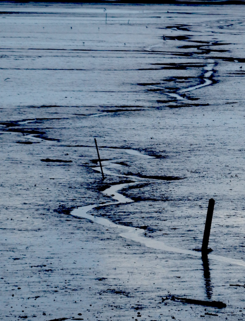 Bassin d’Arcachon — France — 2019 — Laurent