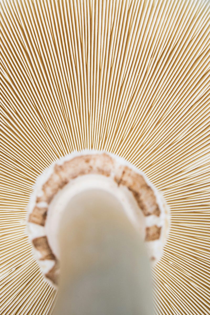 Photo by James Trenda on Unsplash